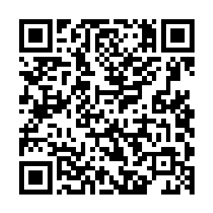 当我看到你那陌生又熟悉仿佛我们每天都会见面聊天的面孔时二维码生成