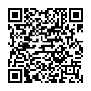 当所有人看到停泊在实验草坪上那20架巨大的航天飞机后二维码生成