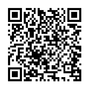 当所有拥有资格的年轻俊杰进入到了最终试炼之后二维码生成