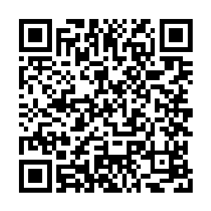 当所有的灵猴精血都进入到苏林经脉当中的时候二维码生成