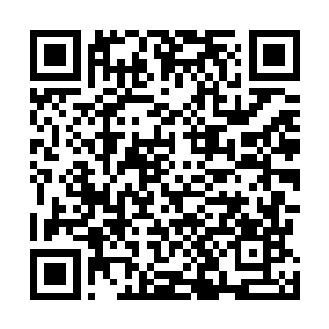 当拜仁慕尼黑全队乘坐的飞机在慕尼黑国际机场降落之后二维码生成