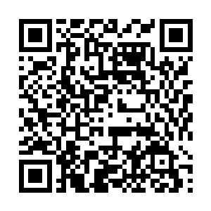 当日敢以淬体二级这样的低等级就直接在核心区域修炼二维码生成