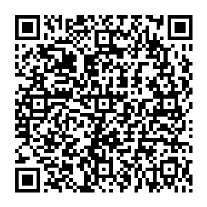 当时一定是她通过客厅隐藏在绿萝里的微型窃听装置听到他在电话里跟李旭讲他要调查她的事情二维码生成