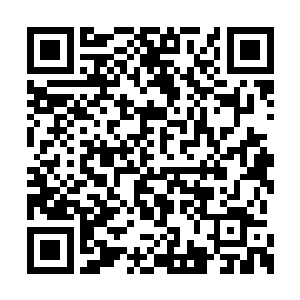 当时一开始是担心武当老掌教赠予的大黄庭忌荤二维码生成