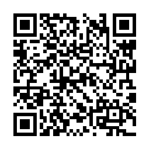 当时他们兄妹三人就躲在城墙脚下的一颗老柳树上二维码生成