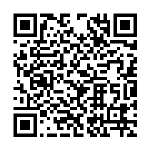 当时他在小天庭的边境线上还故意说要领养这孩子二维码生成