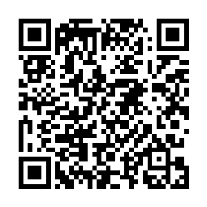 当时你脸上明明白白写着几个字――我就是跟你客气客气二维码生成