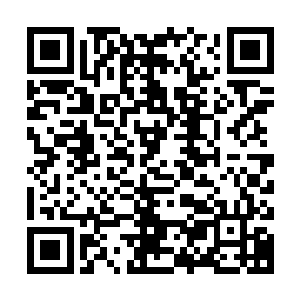 当时凌菲还想着一定跟龙战说说以后多让非空参与到部落的管理二维码生成