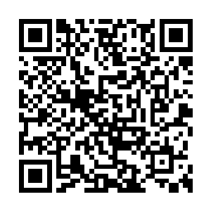 当时在包厢里吃饭的还有他的姐姐闻人牧月小姐二维码生成