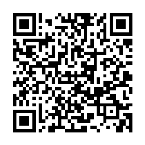 当时对新的生活充满了憧憬的严子陆一下子就傻了二维码生成