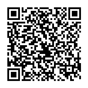 当时布兰特雷甚至猜测珍妮弗可能是个想要转向演艺圈的前高级妓二维码生成