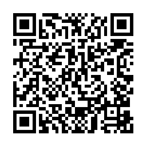 当时的拜火教的圣者也就是教皇一个级别的存在二维码生成