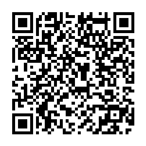 当时的远古地精帝国似乎在如今天界的位置发现了一些什么奇怪而强大的生物二维码生成