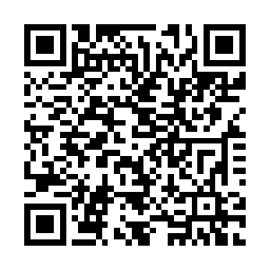 当时还有媒体表示马克·休斯是全世界最让人羡慕的主教练二维码生成