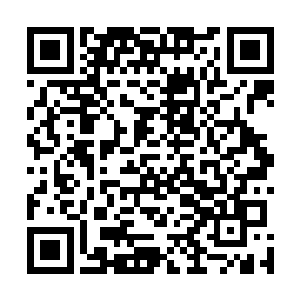 当时那只冥螳螂身上竟然从万丈红尘挂了株星华仙草出来二维码生成