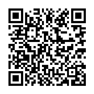 当朝太师张居正亲自把女儿乘的轿子送到门口才回去二维码生成