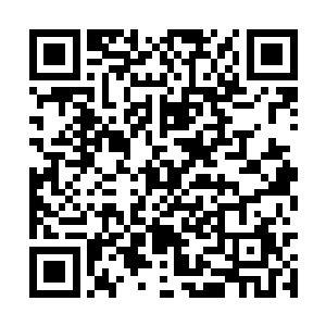 当朱平安得知李姝着人将那想爬床的红笺剥了衣服二维码生成