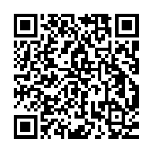 当杨风看着那只大手朝着自己拍来自己再次的无法移动的时候二维码生成