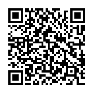 当次郎的手伸到他嘴边的时候他就突然有一种想咬一口的冲动二维码生成