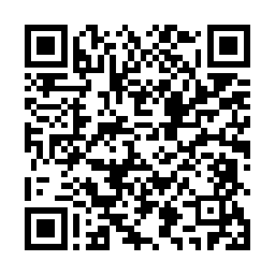 当毁灭的金焰携带着它所有的大脑组织一起飞向天空时二维码生成