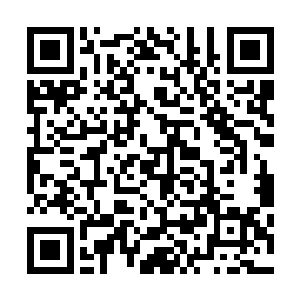 当混沌各方之人正在感慨沈凡为红颜冲冠一怒灭天元的时候二维码生成