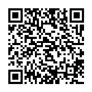 当然　惊人的不只是这些　这件锁子甲　竟然是一件长衫二维码生成