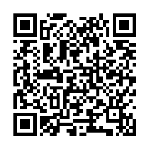 当然不知道主神之间还有在中心世界结盟这个概念二维码生成