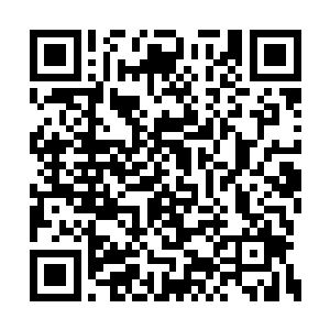 当然不能阻挡含愤而来的完颜设合马的骑军队伍二维码生成