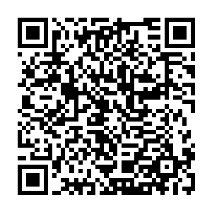 当然临走之前还没忘记跑过一个山头把在山洞里躲着的阿母和阿妹们带过来二维码生成