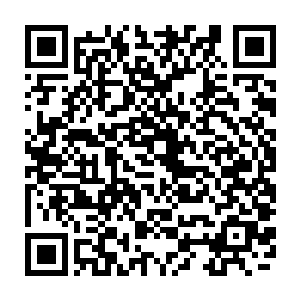 当然也将正前方坐在龙椅上的萧岩及龙椅旁边那张无人坐的玉椅一同收入眼中二维码生成