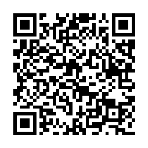 当然了你也可以要求十亿美金全部的都归你自己二维码生成
