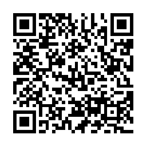 当然了大家也因为叶秋的这一行为而鼓足了自己的勇气二维码生成
