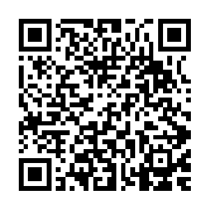 当然他们也知道黑龙不可能让他们两个中的任何一个作为首领二维码生成
