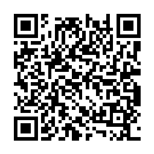 当然他这种做法差点将那个孩子的信心直接打没了二维码生成