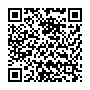 当然凌兰没有忘记吩咐小四模仿她的样子去各大学科馆收集资料二维码生成