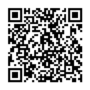 当然可能还有几个个体经营者不在祝植淳视线范围内二维码生成