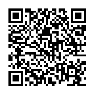 当然太虚宗那些炼丹师还轮不到许紫烟贡献体内空间的草药二维码生成