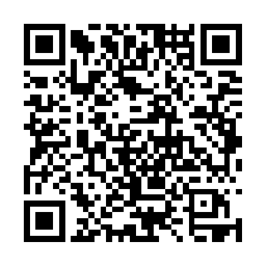 当然如果是正常情况下众人肯定会为金在珉鼓掌的二维码生成