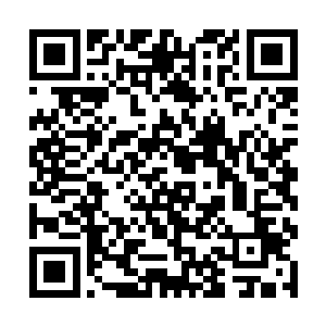 当然对于金在珉的这个提议是想也没想的点头同意了二维码生成