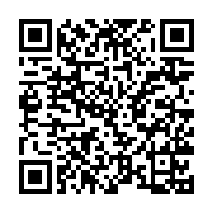 当然就是当初孟南在地底世界之中带回来的阵灵小影二维码生成