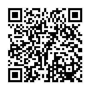 当然我也没忘了要收集那睡醒虫夫妇身上的东西二维码生成