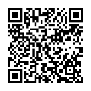 当然我觉得你可以去征求一下王阳和小宝的意见二维码生成