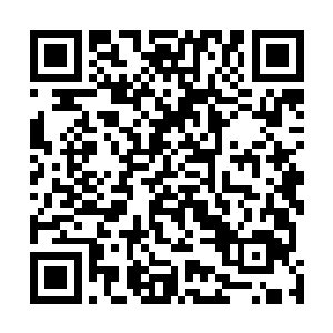 当然这个进化不光是级别上的而且有可能是品级上的进化二维码生成