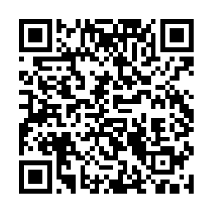 当然这期间夏云杰也不好完全把自己当成一个盘观者二维码生成