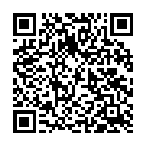 当然这种类似治愈补充的能力并没有想象的那么夸张二维码生成
