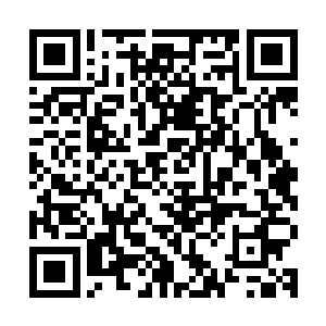 当然那些听了可能会触动两个人伤感的话题凌菲尽可能的避开了二维码生成