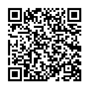 当爱丽丝将这个潜藏在内心已久的秘密给曝出来之后二维码生成