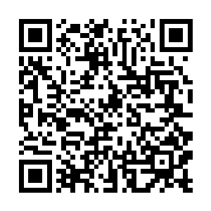 当猪猪就当猪猪……有得吃小烽哥哥做的好吃的饭菜二维码生成