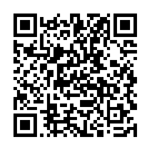 当现场的大屏幕上逐一出现并介绍四个候选人的时候二维码生成