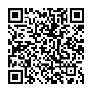 当白飞飞开始寻找当初将他们偷偷送到加拿大的中介机构时二维码生成
